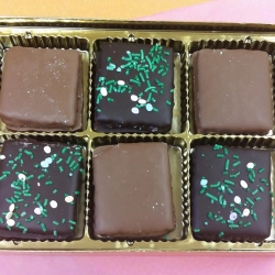 Gourmet Chocolate Passover Graham Crackers