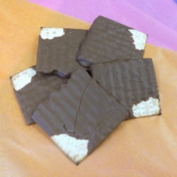 Gourmet Chocolate Passover Matzoh Milk